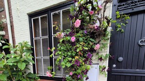 A garden with a climbing rose plant, a window with shutters, and a black gate. - Cozy cottage with fireplace, walking distance from the beach. (Nieuwvliet)