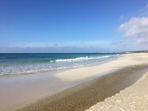 Serviettes de plage