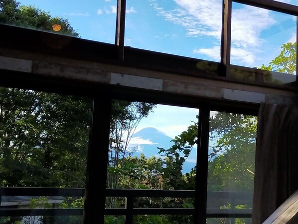 A view through a window with a metal frame, displaying a mountain and trees in the background.
