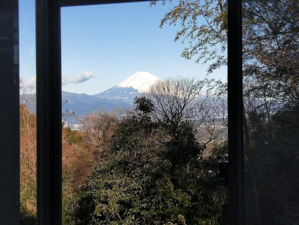 A view of a mountain with a snow-capped peak, likely a volcano, through a window with a view of dense foliage in the foreground.