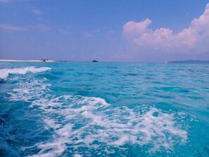 Une vue sur une étendue d’eau turquoise, avec des vagues et une terre lointaine à l’horizon.