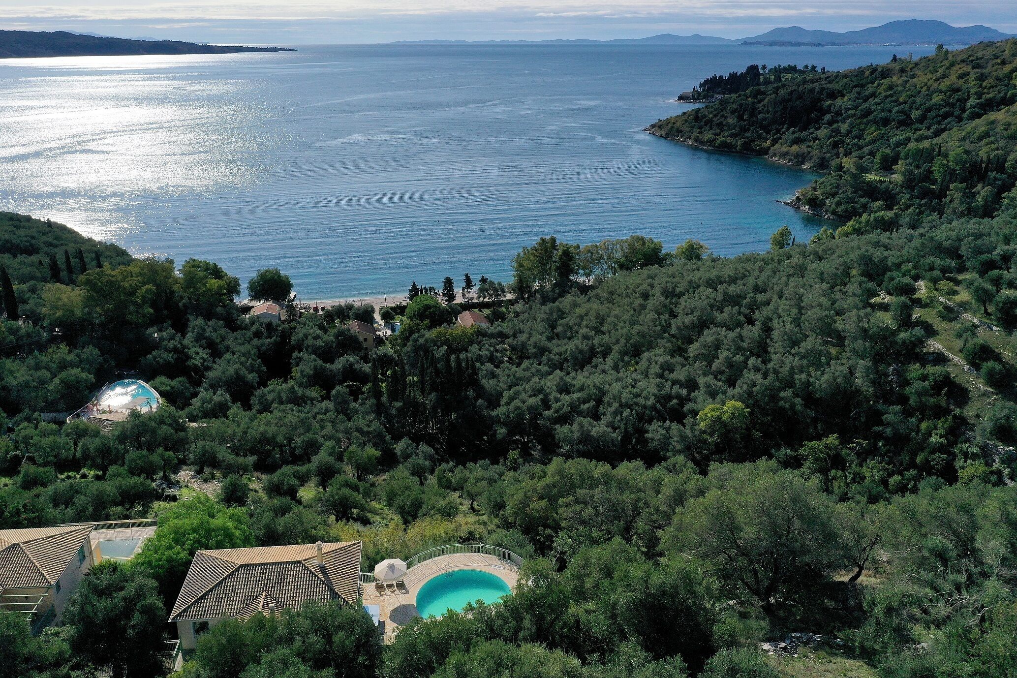 A coastal property with a swimming pool surrounded by dense trees, overlooking a large body of water.