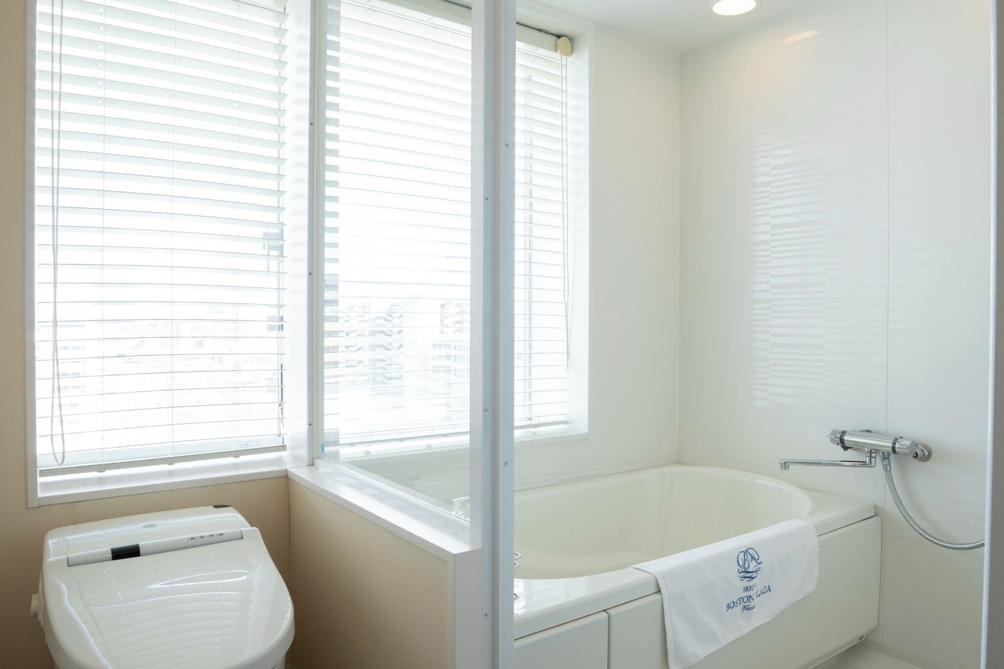 Hair dryer, towels