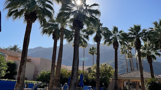 Un espace piscine agrémenté de palmiers, un ciel dégagé et des montagnes en arrière-plan.