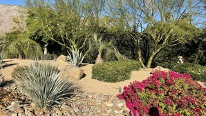 Un jardin aménagé avec différentes espèces de plantes et un jardin de rocaille.