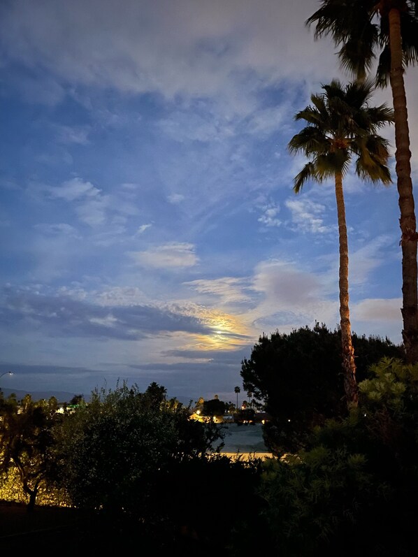 Miscellaneous - Location! Location! Location! (Palm Springs)