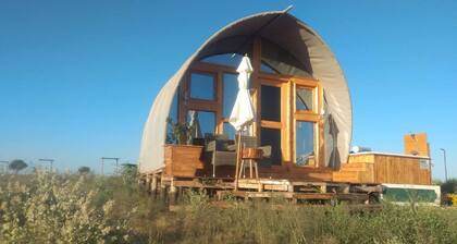 Little Amanya Camp, Amboseli