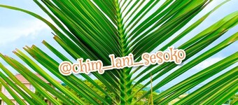 A 2LDK log house that can be enjoyed by families a / Kunigami-gun Okinawa