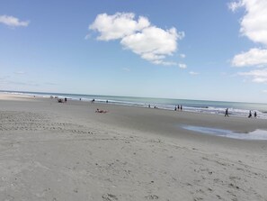 على الشاطئ، كراسي للتشمس، مناشف للشاطئ