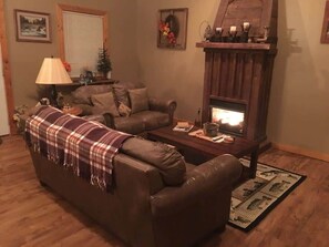 TV, fireplace, books, stereo
