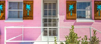 Pink Flamingo - Dunedin Vacation Rental