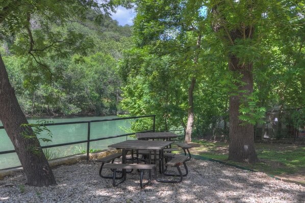 A picnic area with tables and benches, surrounded by trees and a body of water.