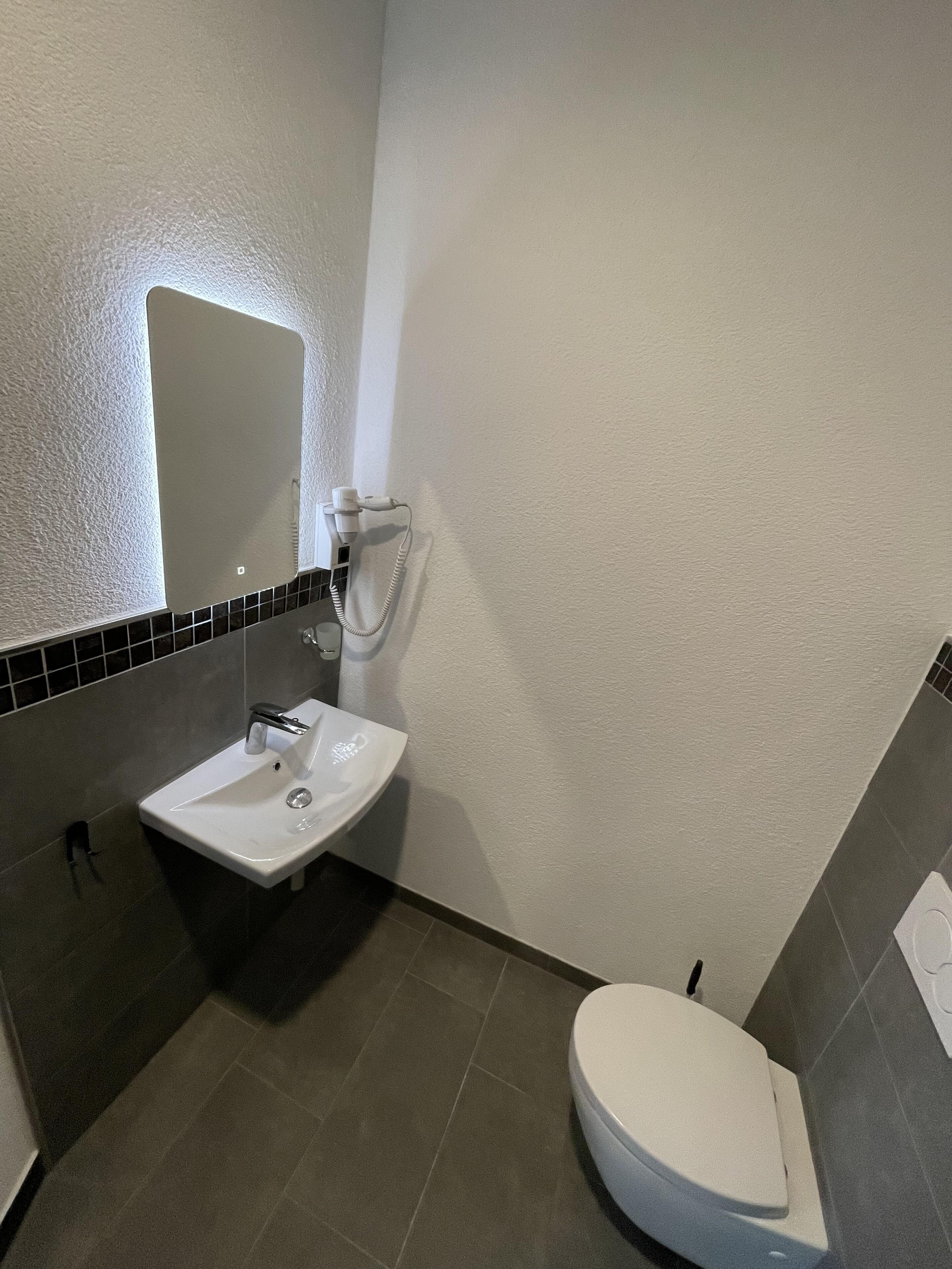 A bathroom with a white sink, a toilet, and a mirror.
