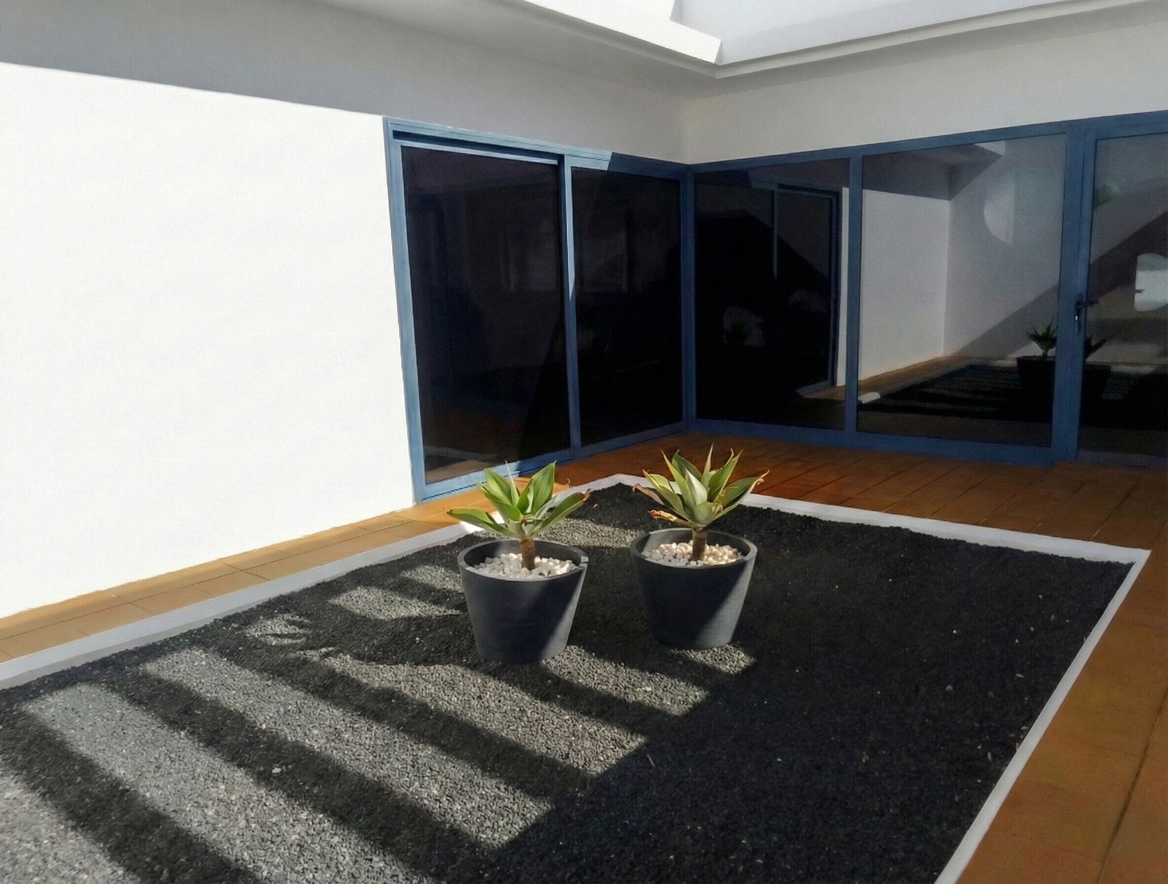 Una terrazza sul tetto con due piante in vaso su un tappetino texturizzato, circondata da un pavimento in legno e porte in vetro che danno su un ambiente interno.