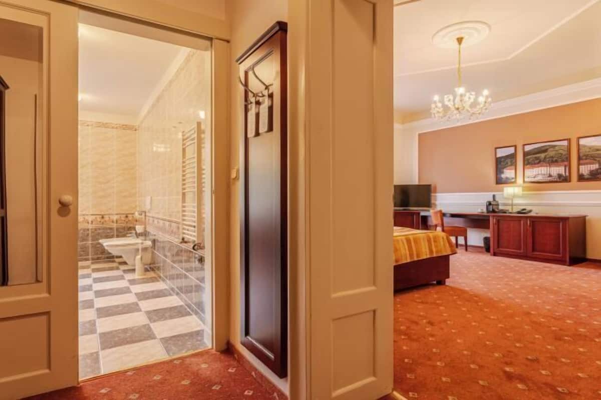 Minibar, desk, WiFi (free), bed sheets