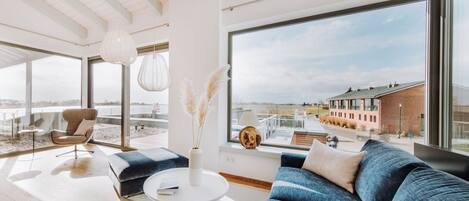 Älytelevisio, takka, kirjoja, stereot