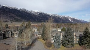 Eksteriør