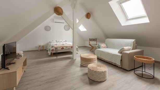 Un dormitorio estilo loft moderno con techo inclinado, un tragaluz grande, una cama con colcha estampada, un sofá con una manta de color claro y dos cestas tejidas.
