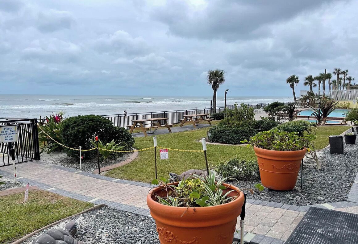 Vista de una zona frente al mar con un camino, bancos y plantas en macetas.
