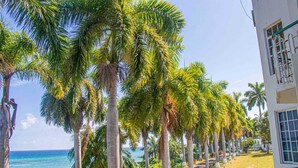 A coastal view with palm trees and a building with a white facade and green trim. - Malibu ocean View Studio (Montego Bay)