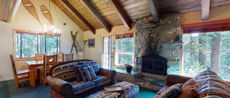 Televisión, chimenea y reproductor de DVD