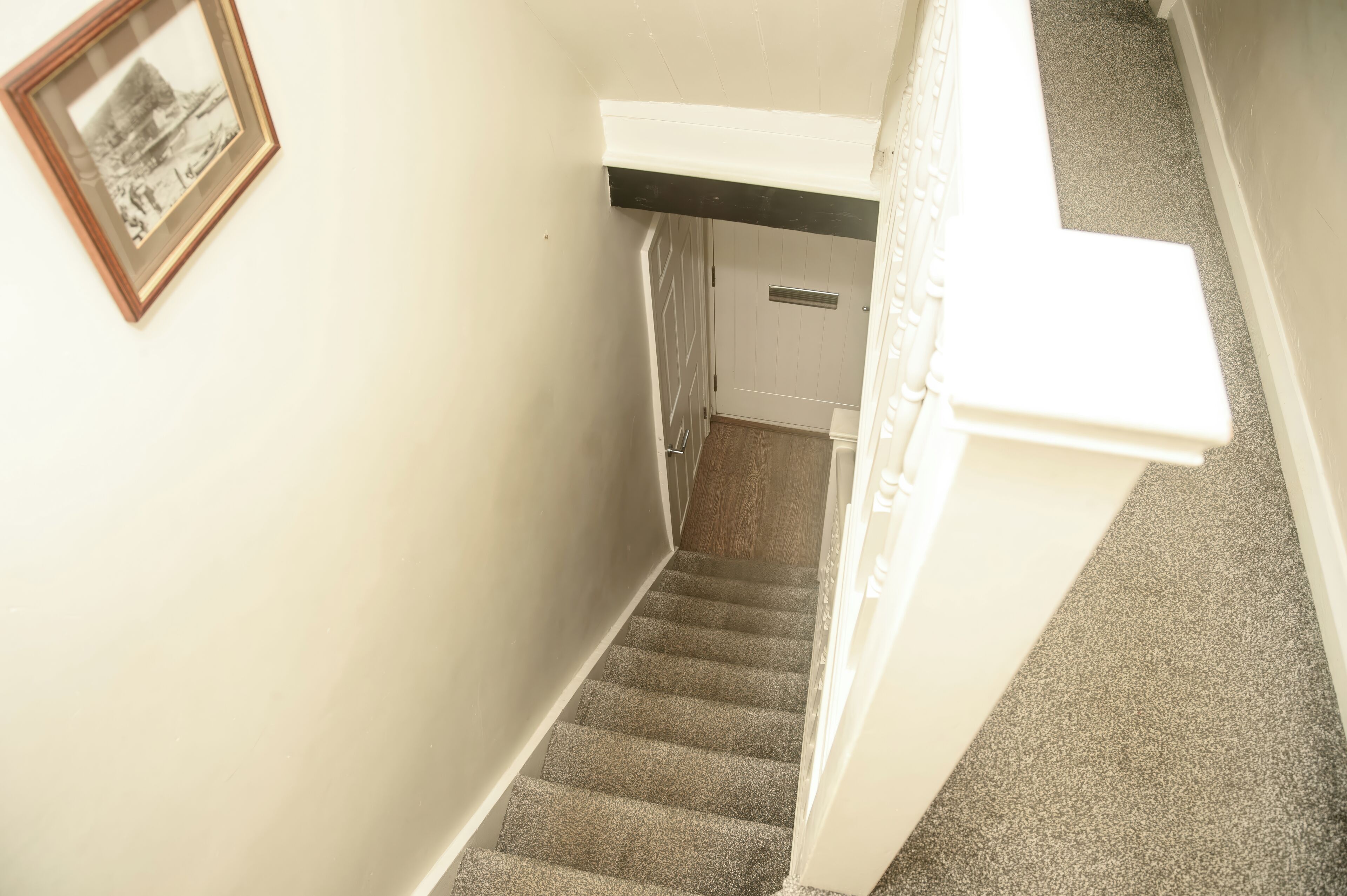 A carpeted staircase with a white handrail and a door at the bottom.