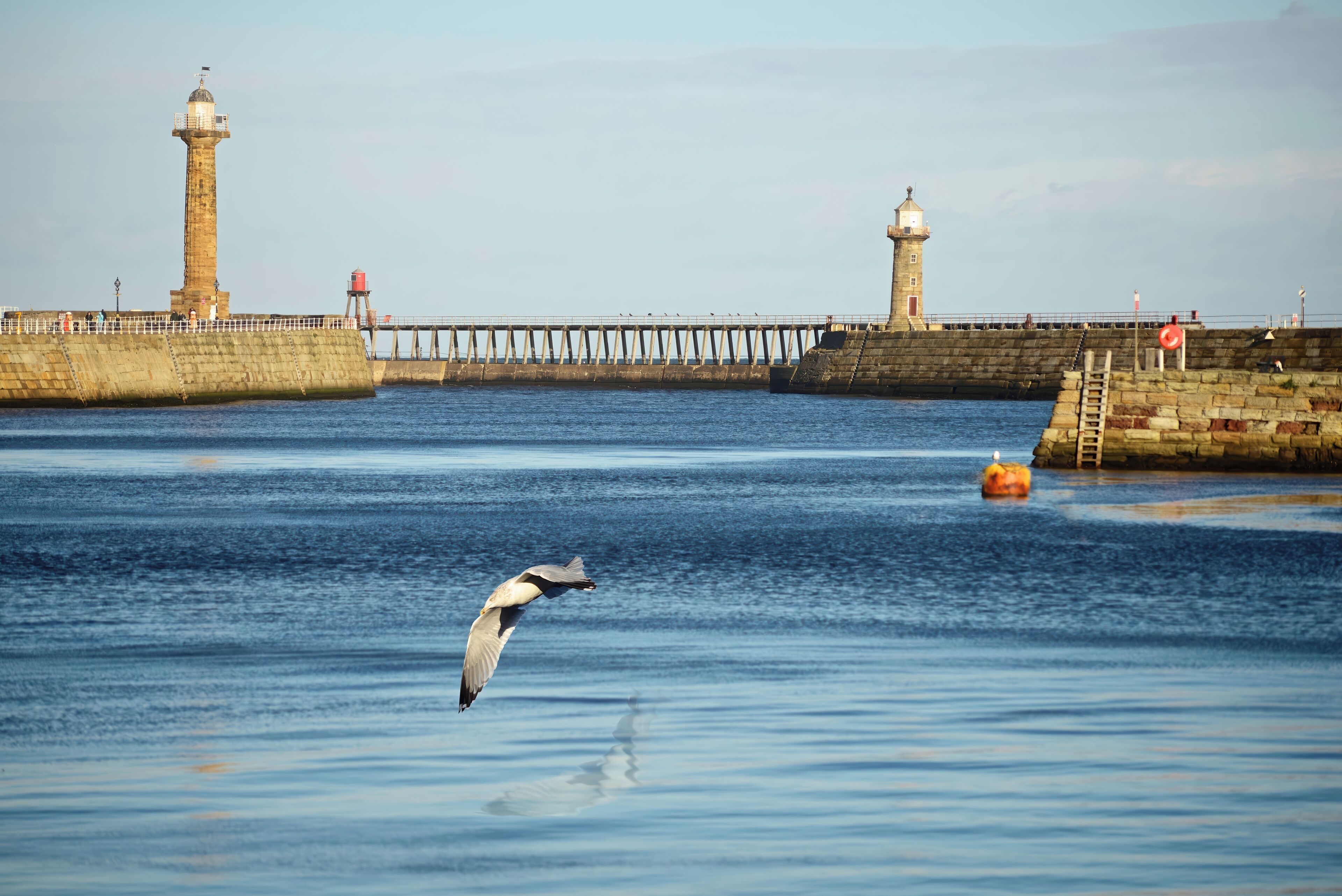 Paisaje costero con un faro y muelle, agua tranquila y un ave volando.