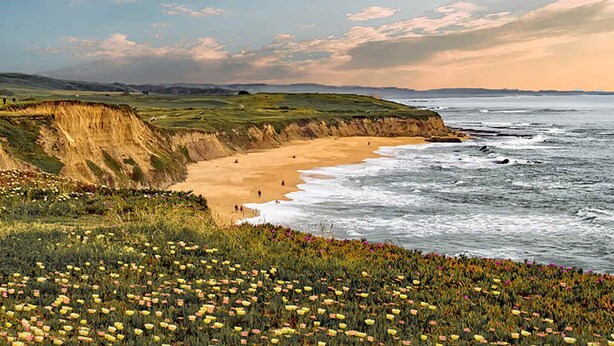 A coastal landscape with a sandy beach, cliffs, and a field of wildflowers. - Nantucket Penthouse - walk to restaurants, beaches, activies & so much more (Half Moon Bay)