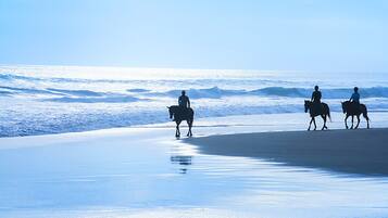Playa