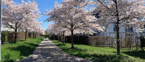 Área da propriedade