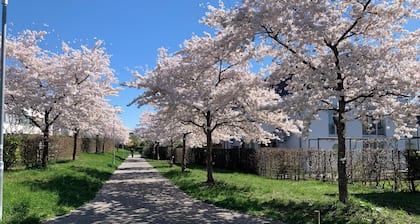 Schöne Wohnung mit Parkplatz