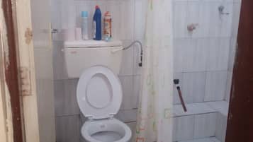 Shower, towels, soap, toilet paper