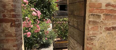 Apartment | Garden
