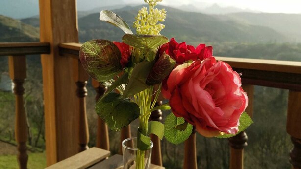 Uma mesa de madeira com um vaso de vidro transparente contendo flores vermelhas e folhagem verde, com uma paisagem montanhosa ao fundo.