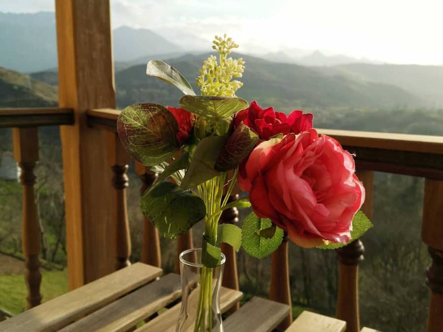 Habitación doble panorámica | Wifi gratis y ropa de cama