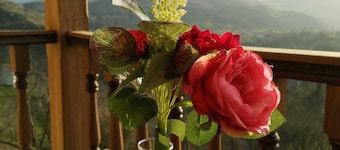 ヴジェ ラ フエンテ