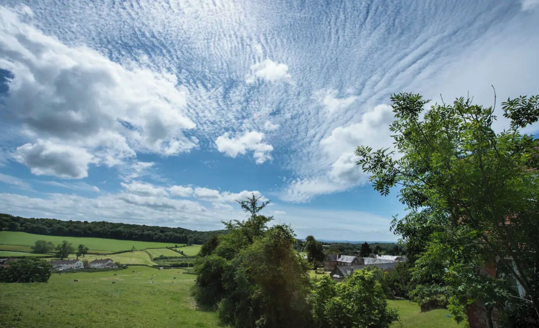 A rural landscape with rolling green fields, scattered trees, and a few buildings in the distance.