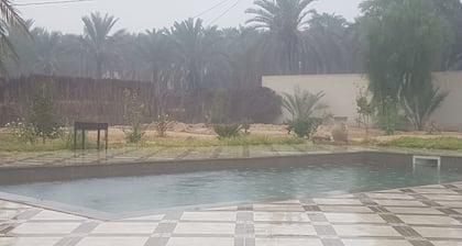 JARDIA beautiful vacation villa in the heart of the palm grove