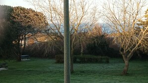 A grassy area with trees and a bench. - Apartment with sea view 100m from the beach 2* (2*) (Saint-Gildas-de-Rhuys)