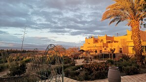 Un pati amb una palmera, un paviment de pissos i un edifici amb teulada plana.