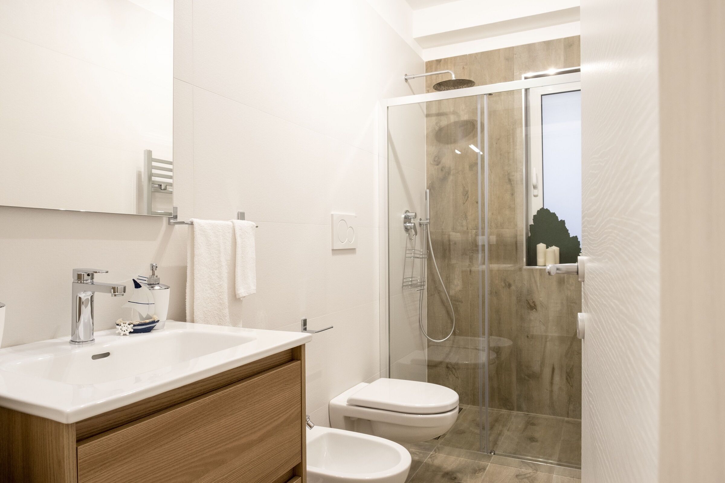 Shower, hair dryer, bidet, towels