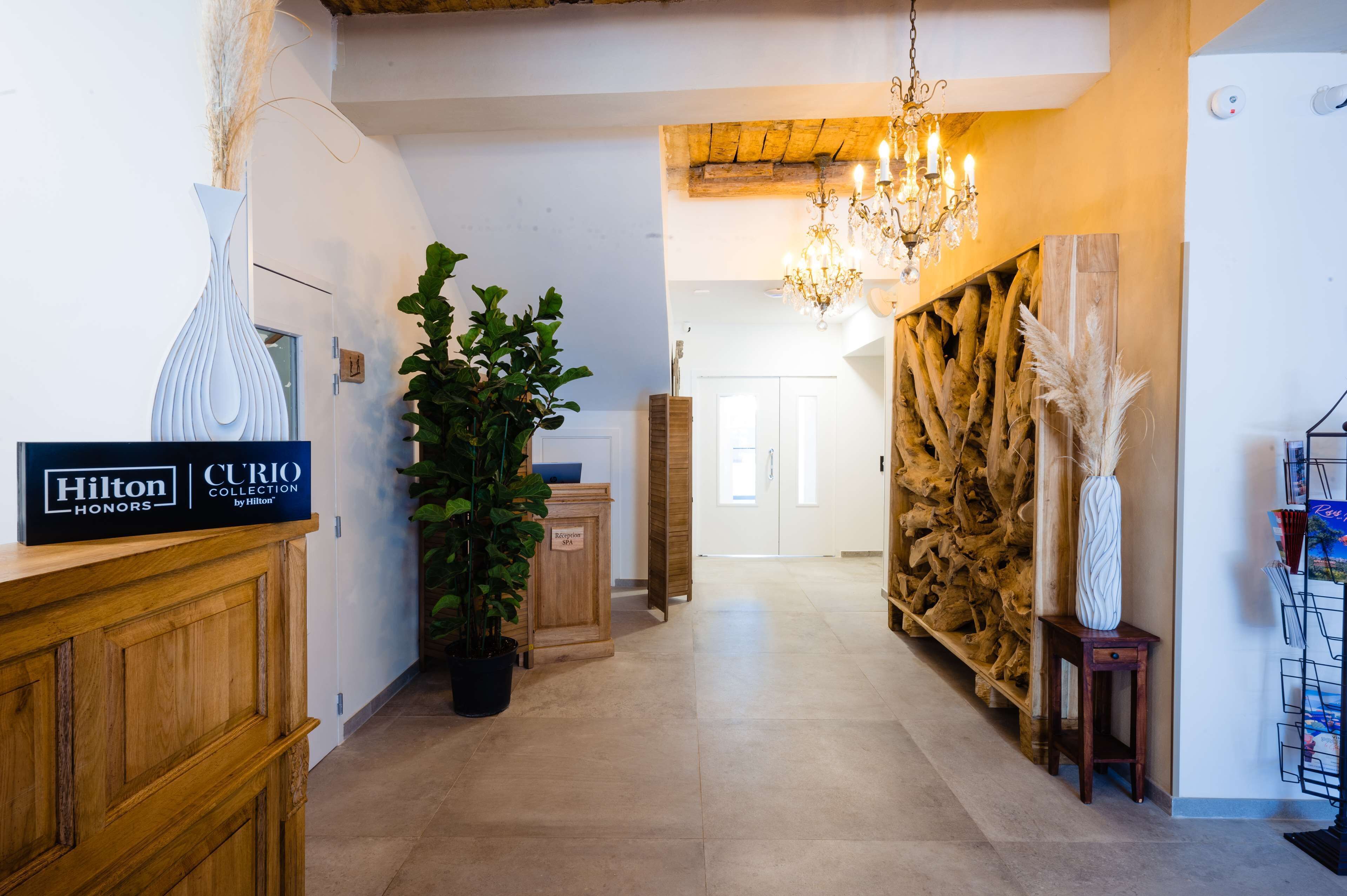 A hotel lobby with a wooden reception desk, a potted plant, a chandelier, and a wall decorated with wooden logs and pampas grass.
