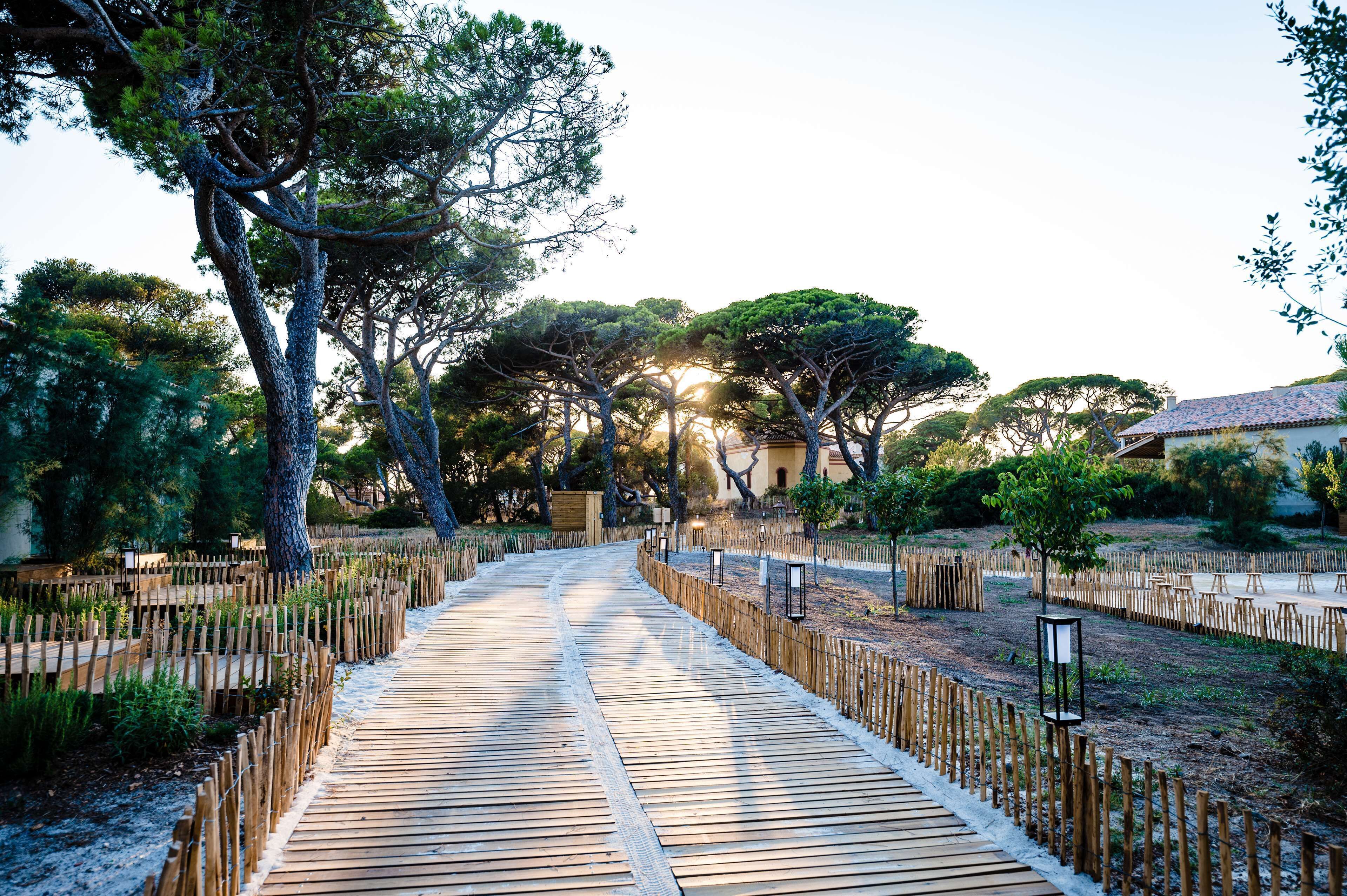 Un camí de fusta que condueix a un edifici envoltat d'arbres i una tanca.