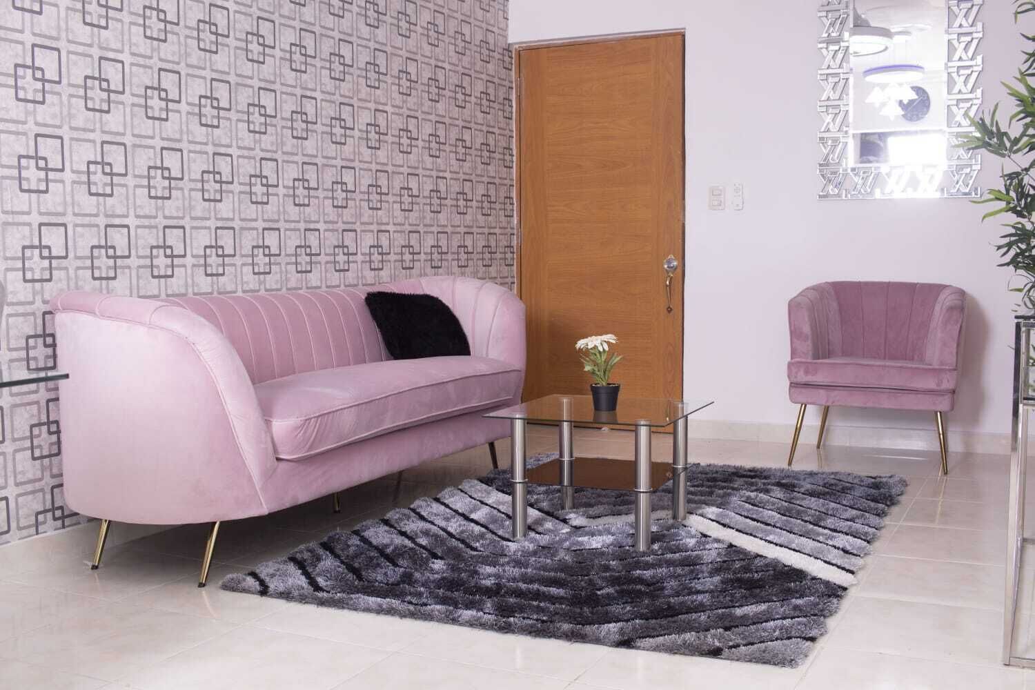 A living room with a pink sofa, a glass coffee table with a potted plant, a black and white rug, and a wooden door.