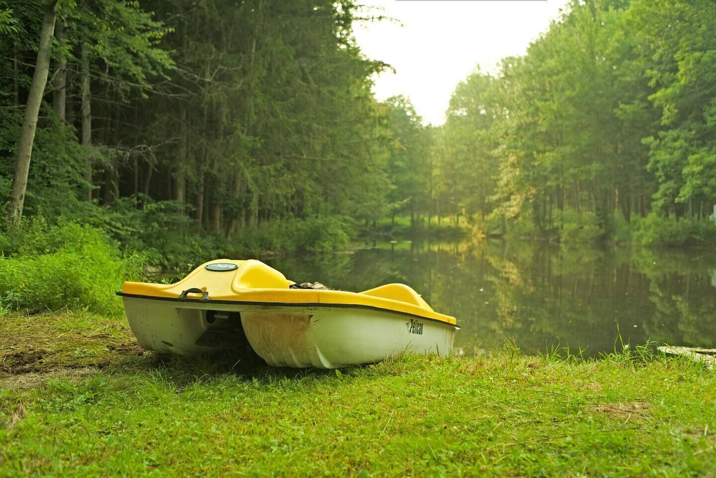 Een gele en witte boot afgemeerd aan een groene oever langs een rustige rivier, omringd door weelderige begroeiing.