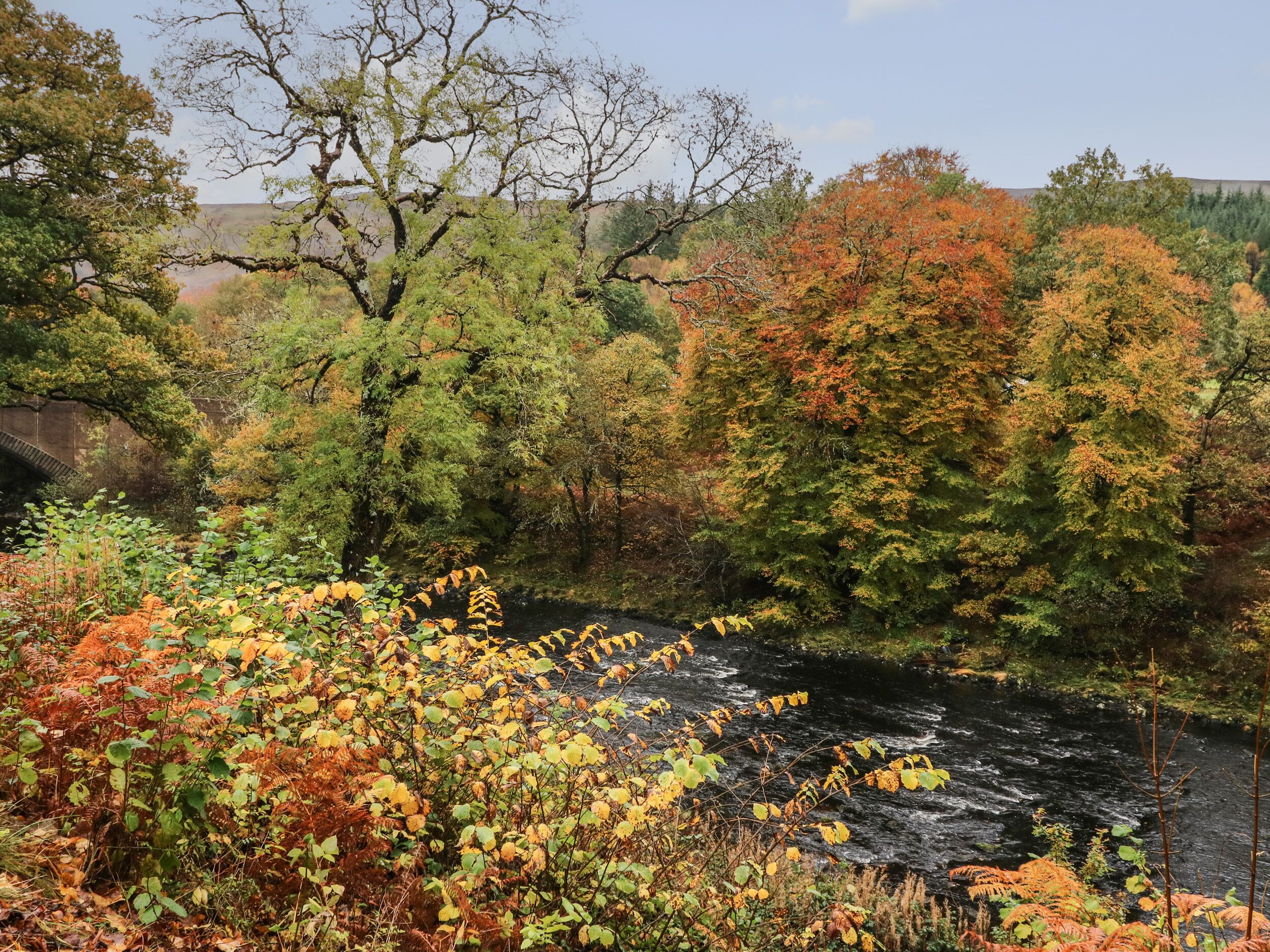 A river flowing through a forest with autumn foliage.
