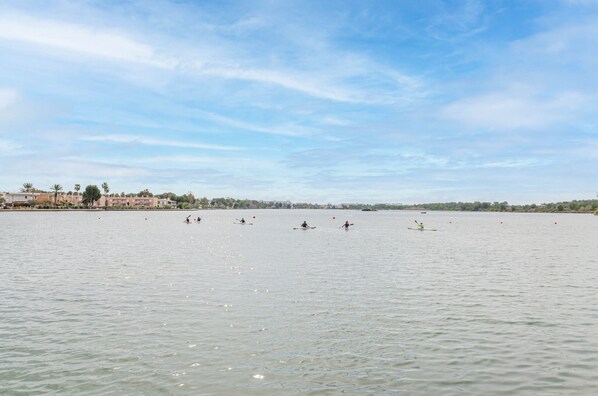 Photo non classée, 1 sur 49, bouton