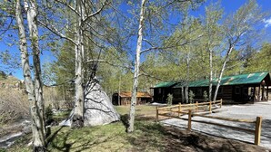 Eine Lodge mit grüner Dachbegrünung, umgeben von Birken und einem kleinen Bach.