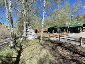 Eine Lodge mit grüner Dachbegrünung, umgeben von Birken und einem kleinen Bach.