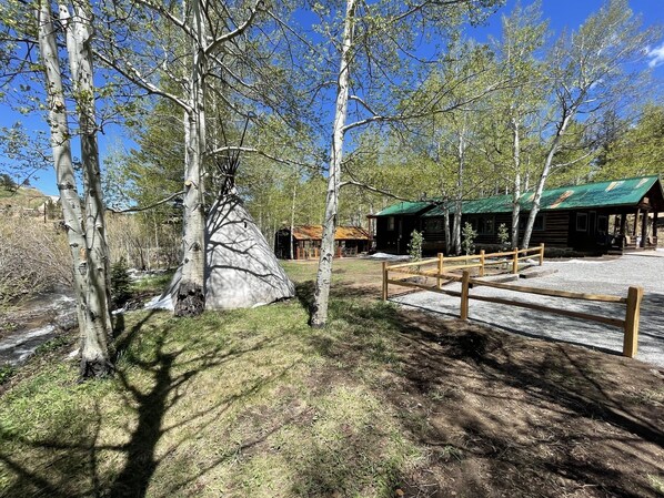 A lodge with a green roof, surrounded by birch trees and a small stream.